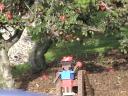 dvc01568.jpg