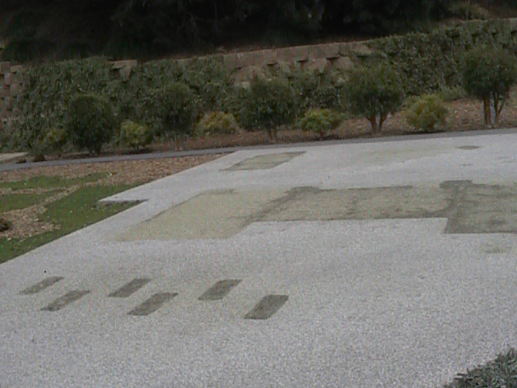 dvc01496.jpg