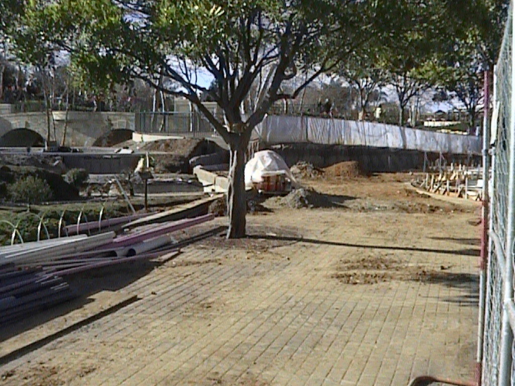 dvc01529.jpg