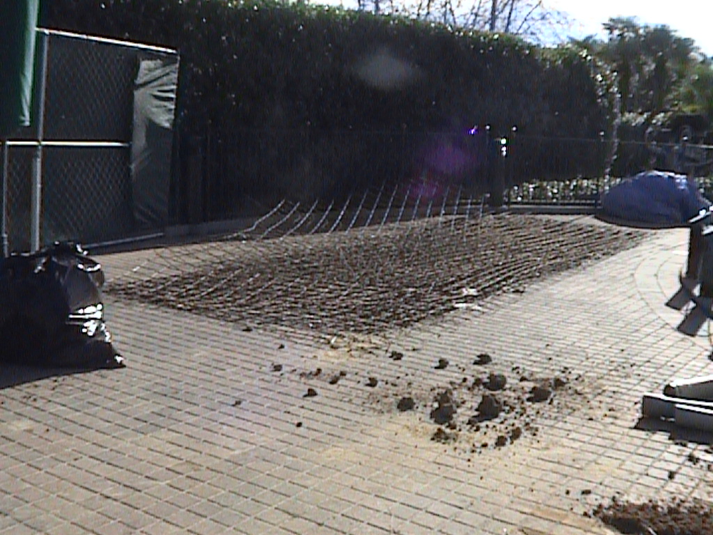 dvc01531.jpg