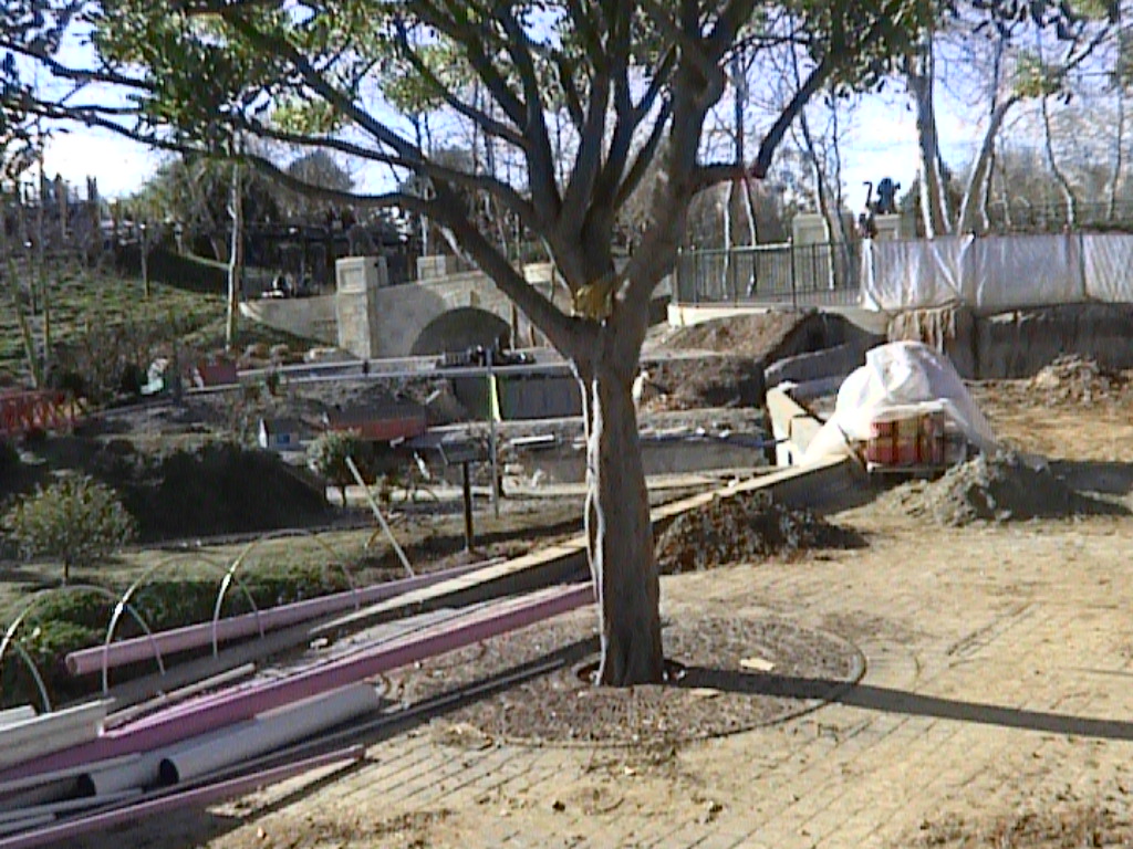 dvc01532.jpg