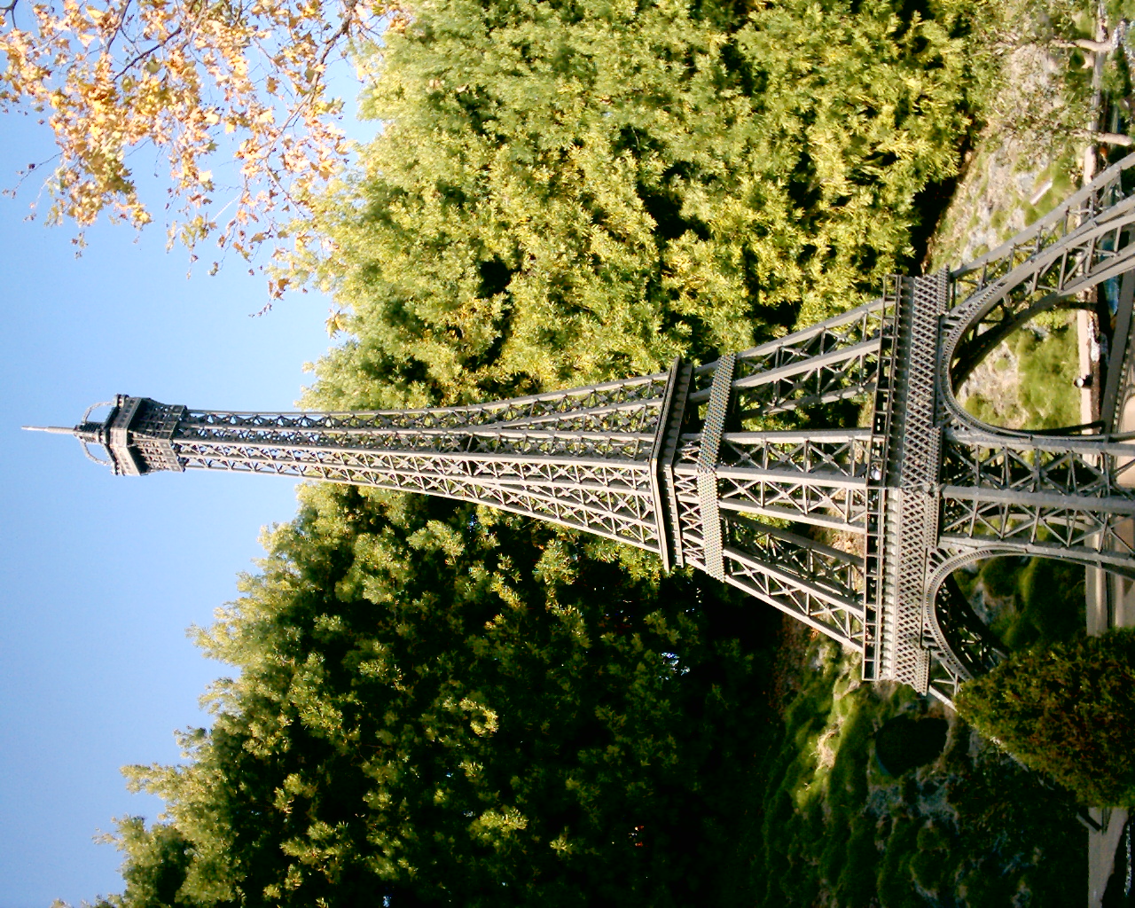 sd_015.jpg