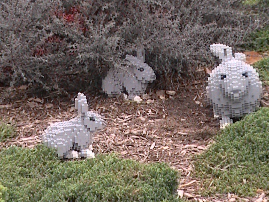 dvc01445.jpg