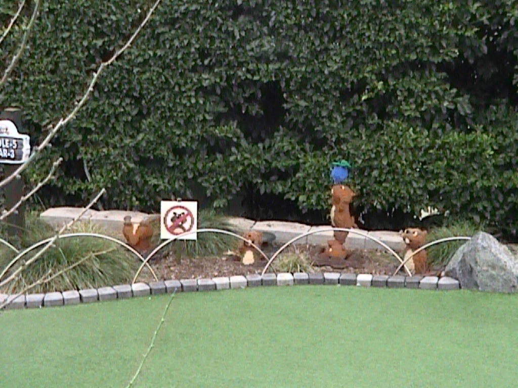 dvc01447.jpg