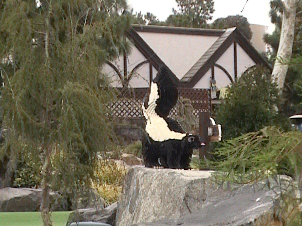 dvc01451.jpg