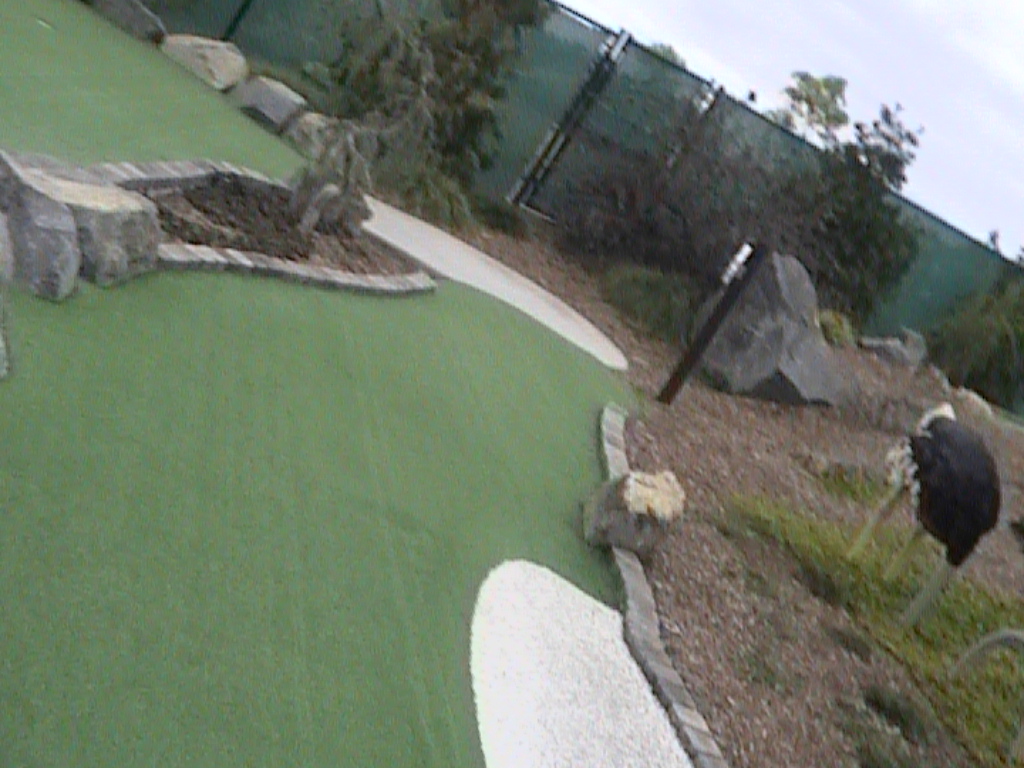 dvc01453.jpg