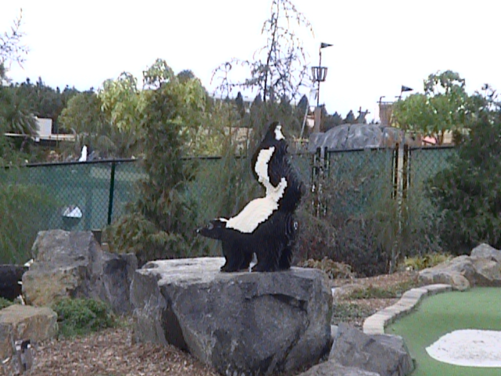 dvc01458.jpg