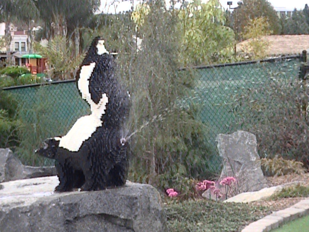 dvc01460.jpg