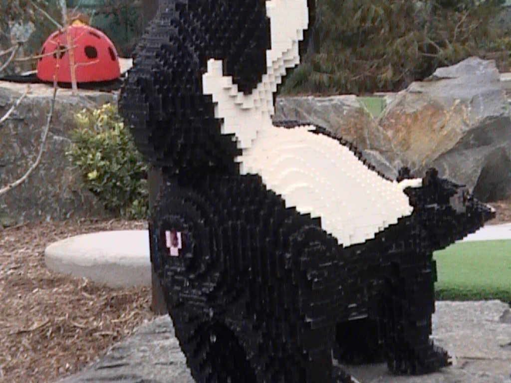 dvc01461.jpg