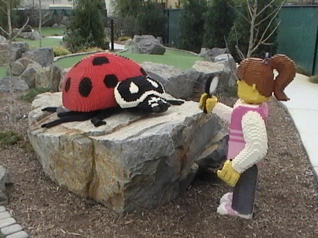 dvc01463.jpg