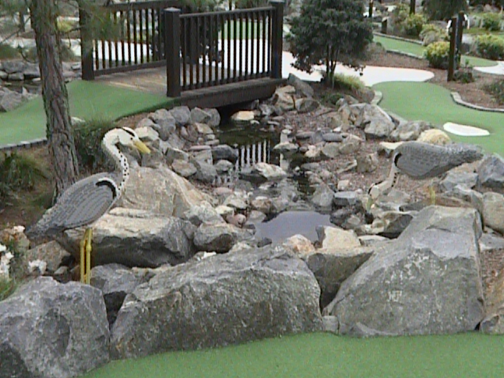 dvc01466.jpg