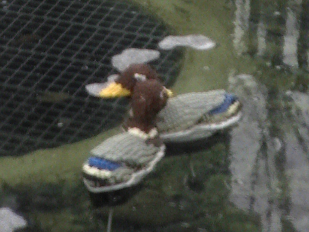 dvc01470.jpg