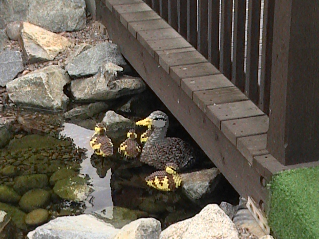 dvc01472.jpg