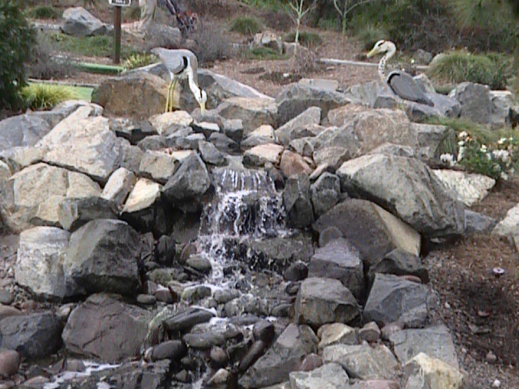 dvc01473.jpg