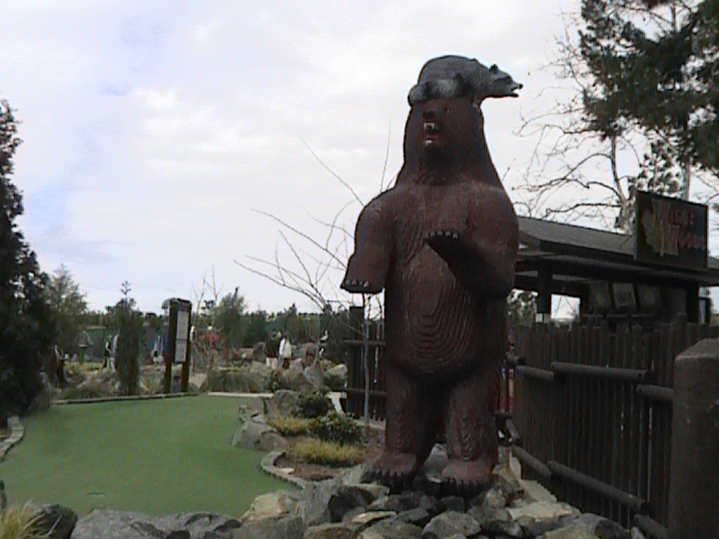 dvc01484.jpg