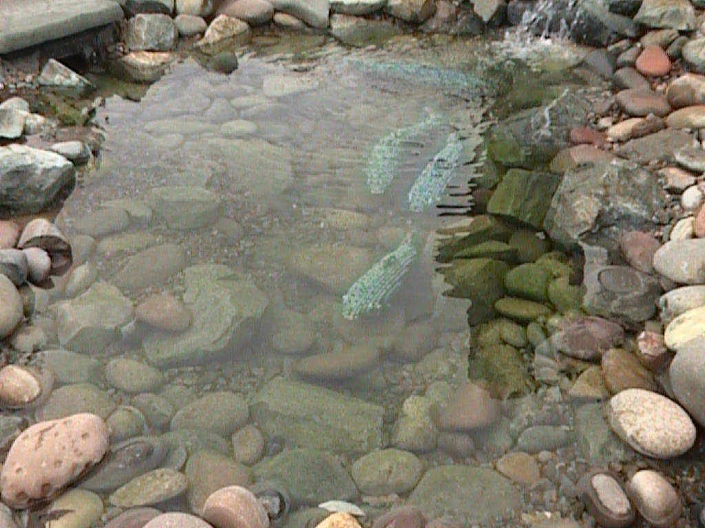 dvc01485.jpg