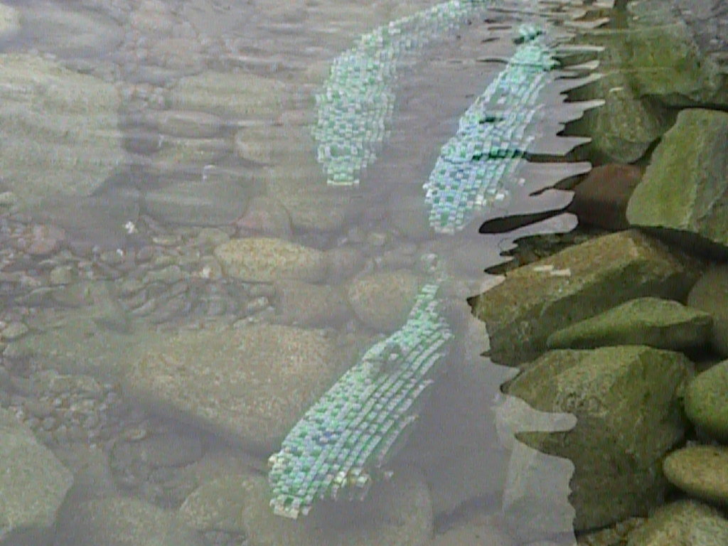 dvc01486.jpg