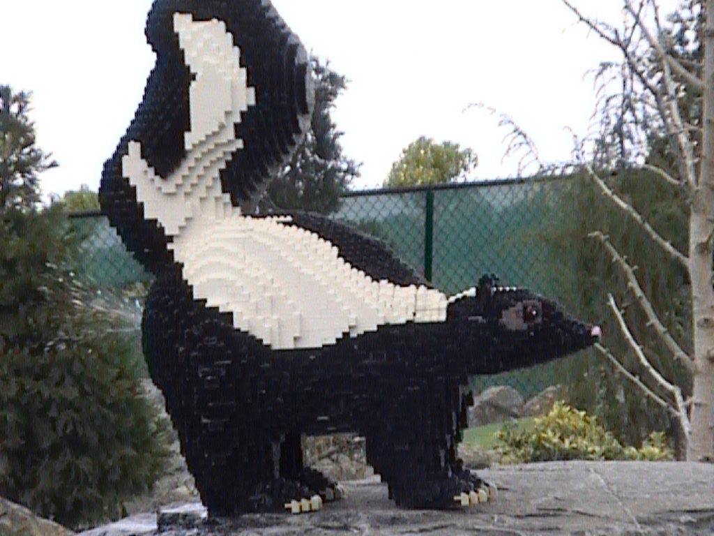 skunk.jpg