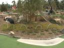 dvc01450.jpg