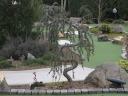 dvc01457.jpg