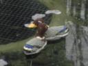 dvc01470.jpg
