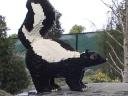 skunk.jpg
