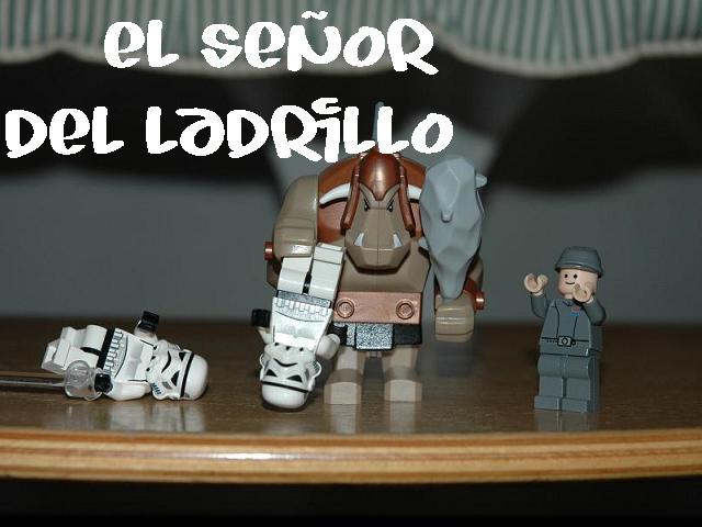 el_se_or_del_ladrillo.jpg
