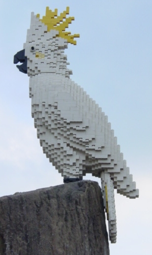 cockatoo.jpg