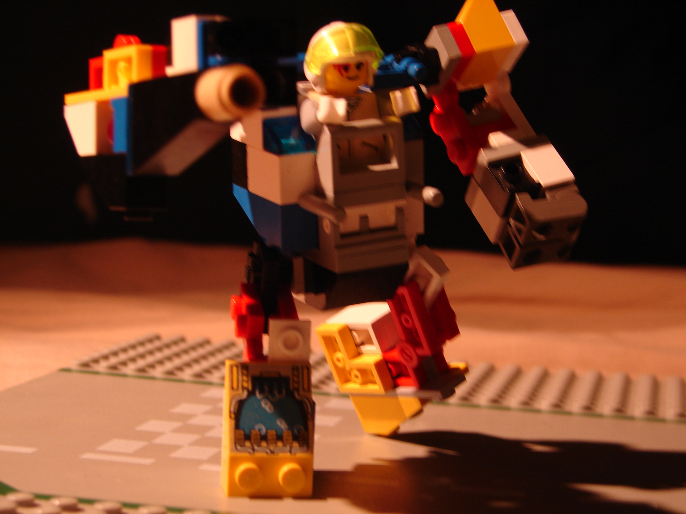 dsc00350.jpg