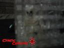 skeleton.jpg