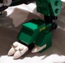 foot_detail.jpg
