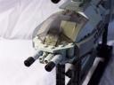 cwing_14.jpg