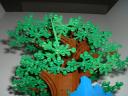 010-tree2.jpg
