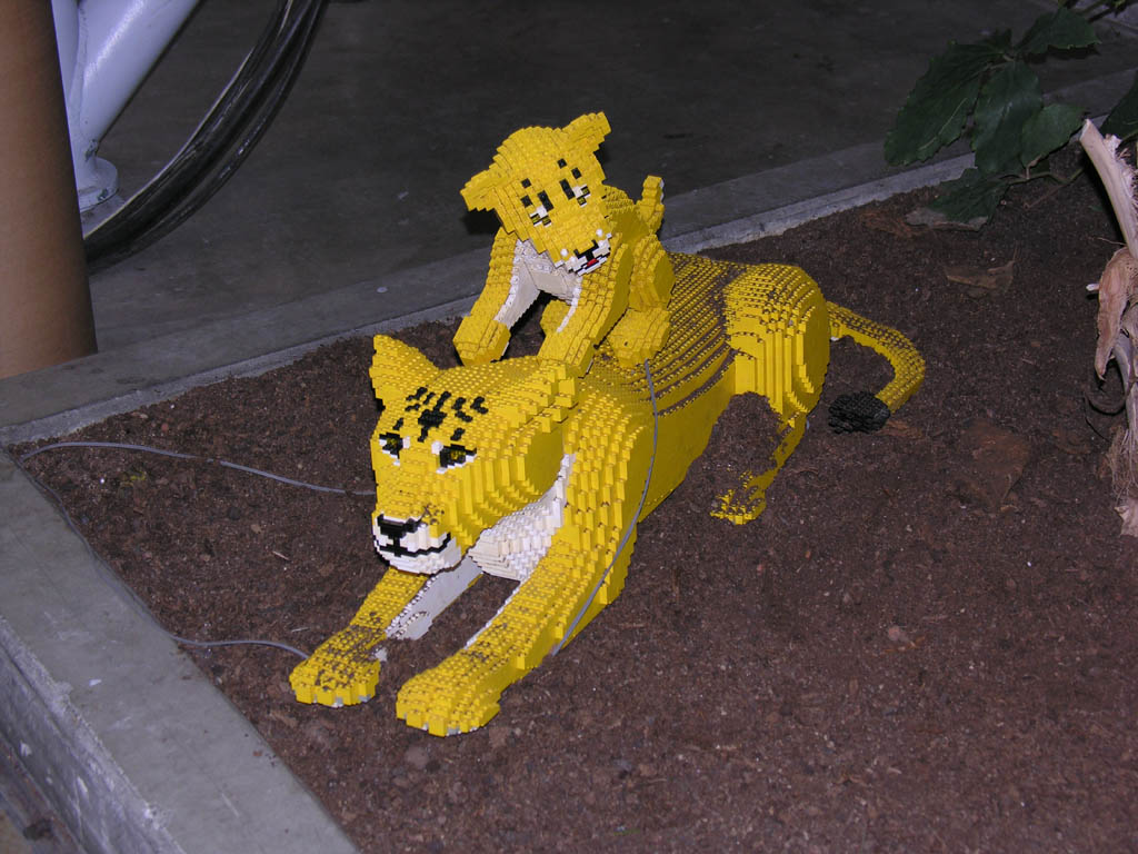 04.jpg
