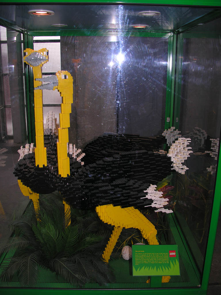 05.jpg