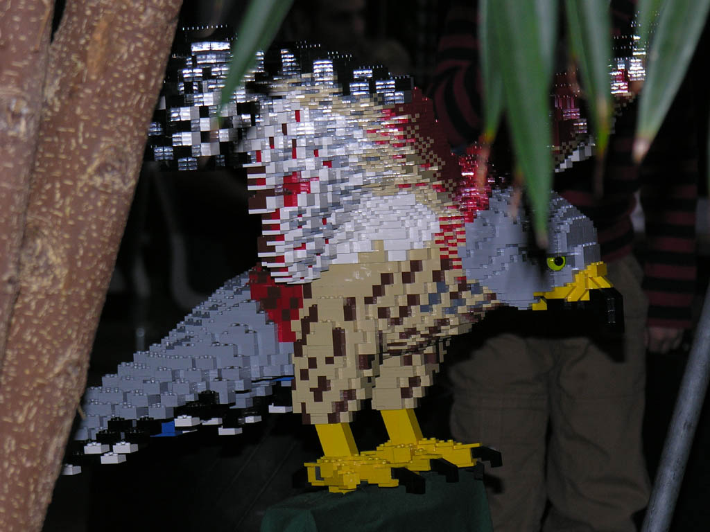 86.jpg
