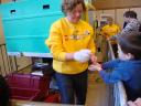 dsc00602.jpg