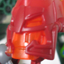 img_3311av.png