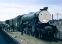 Flying_Scotsman__28Felix_Cheng_Image_29.png