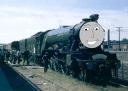 Flying_Scotsman__28Felix_Cheng_Image_29.png