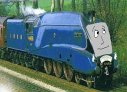 Mallard_FC.png