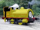Jade__28FelixCheng_27s_picture_29.png