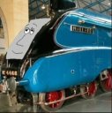 Mick_the_Mallard__28FelixCheng_27s_picture_29.png