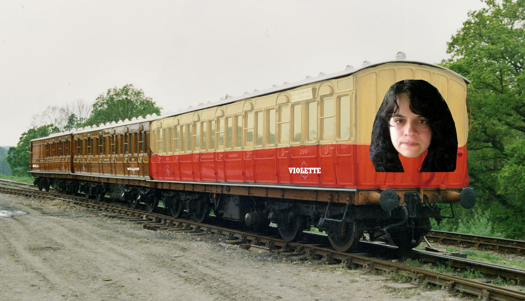 Violette.png