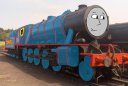 240_Tommy.png