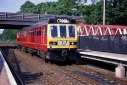 Bertie_the_Pacer.png