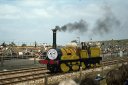 Cleo.png