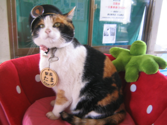 The_Railway_Cat.png