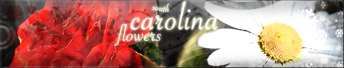 southcarolinaflowers.jpg