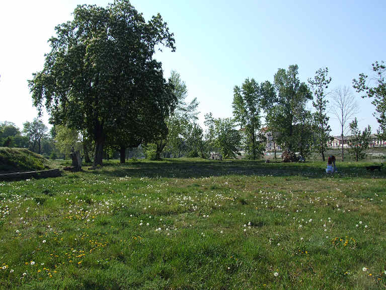 138.jpg